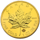 Canadian Maple Leaf Gold Coin 1 Oz  